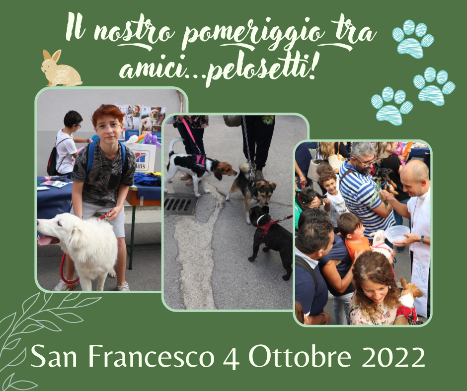 Verde_Design_Naturalistico_Progettazione_Giardini_Post_Instagram__